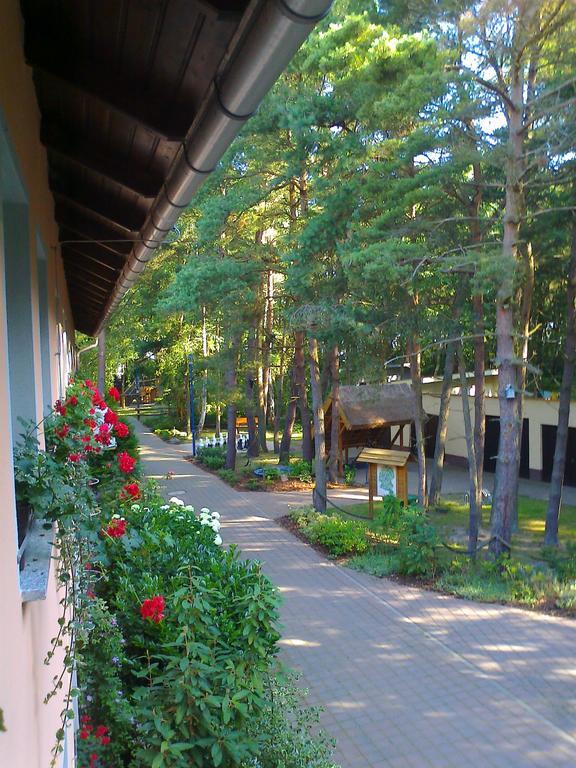 Apartment Min Herzing *